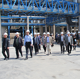 “培育壯大戰略新興產業促進經濟轉型” 專題調研匯報材料